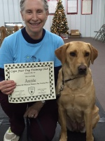 Dog Beginner Class